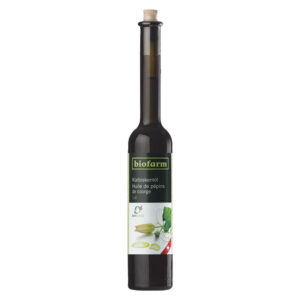 Biofarm Kürbiskernöl CH Knospe Flasche 1 dl