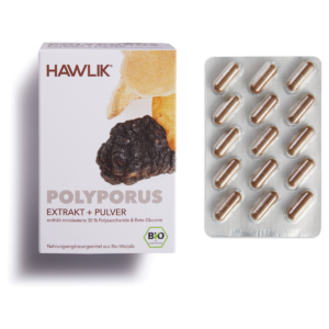 Hawlik Polyporus Extrakt + Pulver Kapseln 120 Stück