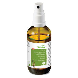 Heidak Knospe Moorbirke Betula pubescens Flasche 30 ml