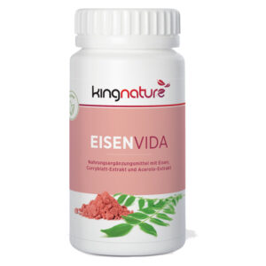 Kingnature Eisen Vida Kaps 21 mg Ds 100 Stk