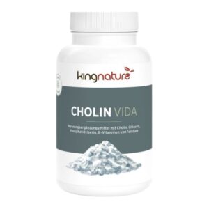 Kingnature Cholin Vida 350 mg Kapseln 90 Stück