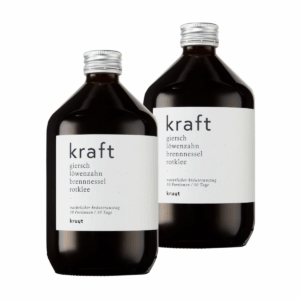 kruut Wildkräuterauszug Kraft 2 x 500 ml