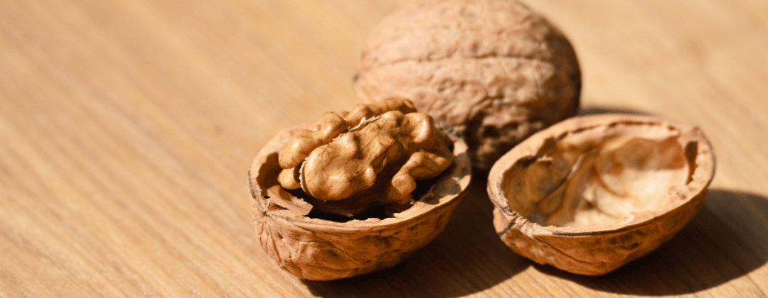 Walnuss mit gesunden Ölen