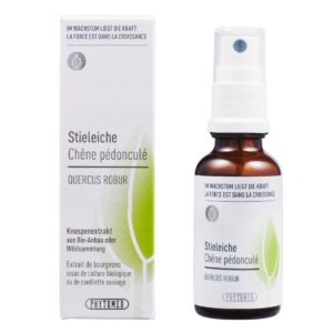 Phytomed Knospenextrakt Stieleiche 30 ml