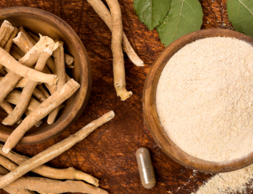 Ashwagandha Pulver und Stängel